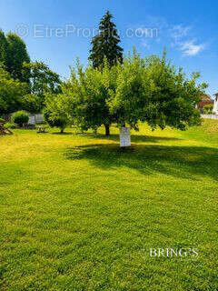 Terrain 1130 m² à Les Abrets  - photo 5