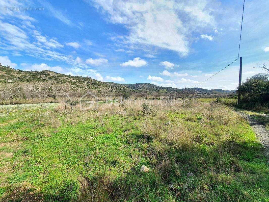 Terrain plat de 4760m² - sur l'axe cases de pene / estagel - au bord de l'agly - photo 4
