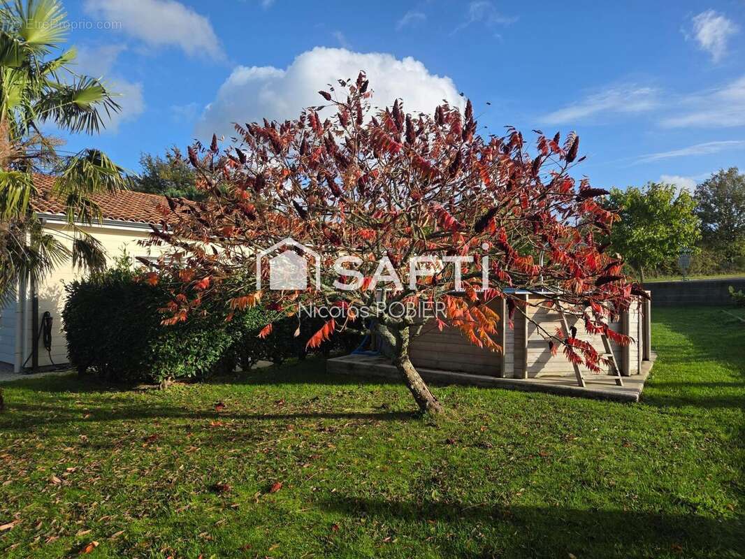 Photo 9 - Maison à POMPAIRE