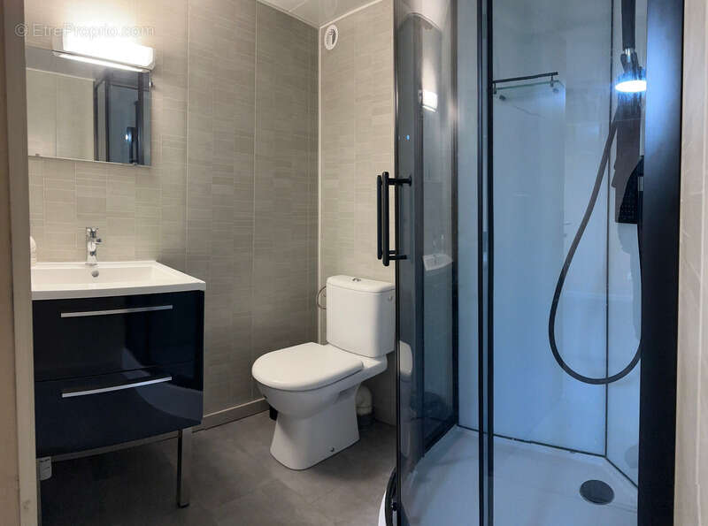 La Roche-sur-Yon Quartier Saint André d'Ornay trois chambres + un studio - photo 11