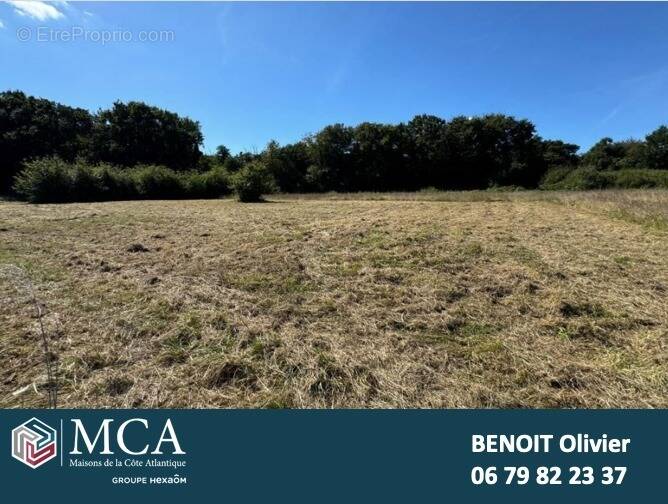 Terrain à SAINT-PALAIS-SUR-MER