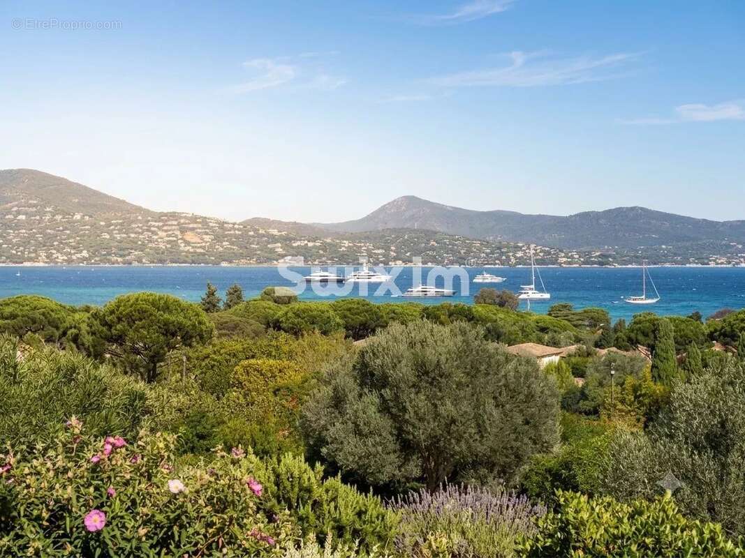 Maison à SAINT-TROPEZ