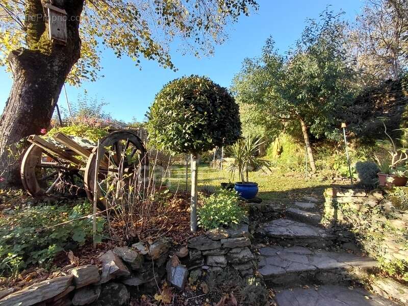 Maison à VIEILLEVIE