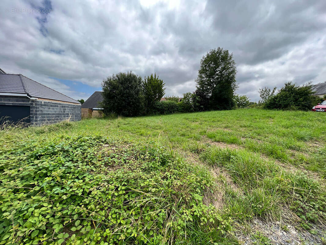 Terrain à BOSDARROS