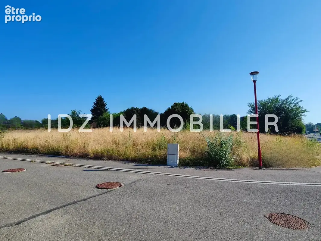 Terrain 1 609 m² à vendre à Hagenthal-Le-Bas (68220) - photo 3