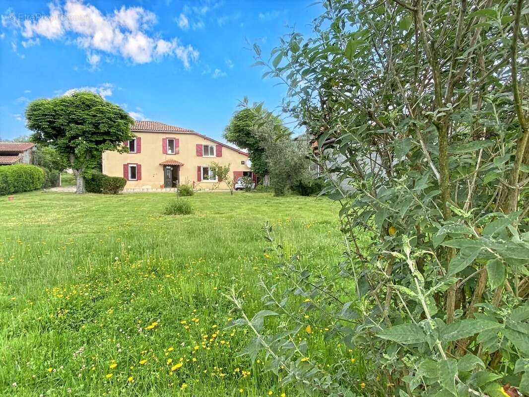 Maison à BALESTA