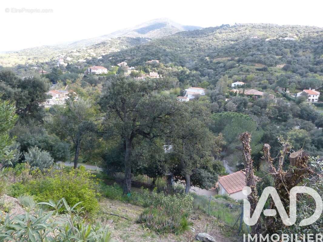 Photo 4 - Maison à LE BOULOU