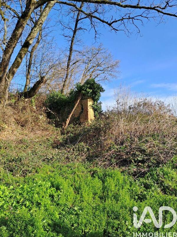 Photo 1 - Terrain à SARRAGUZAN