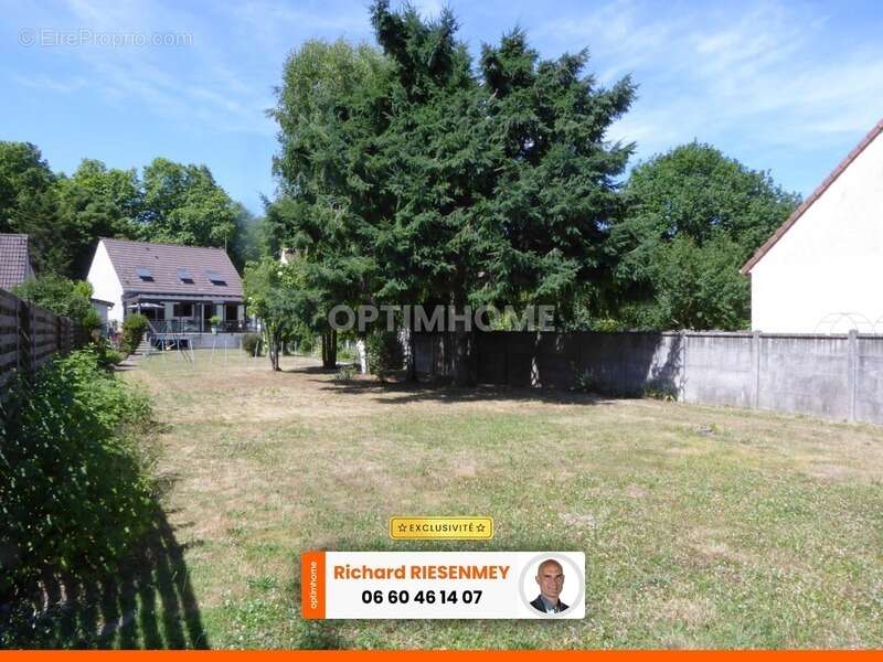 Terrain à OLLAINVILLE