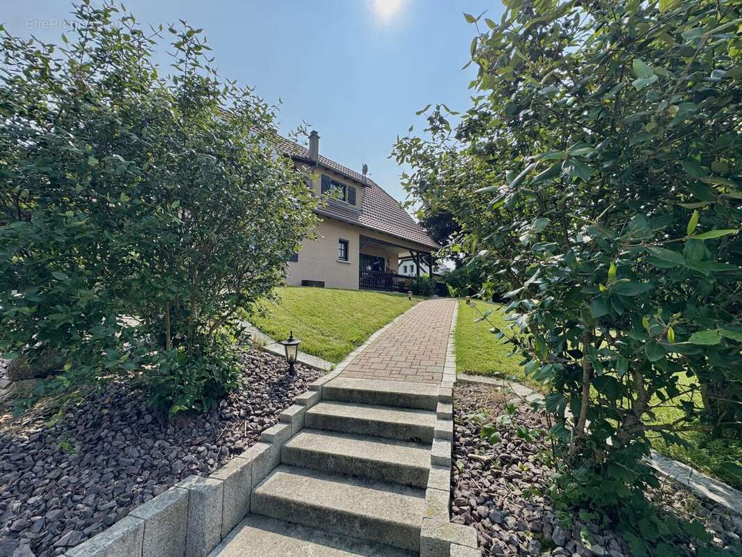 Maison à ZAESSINGUE