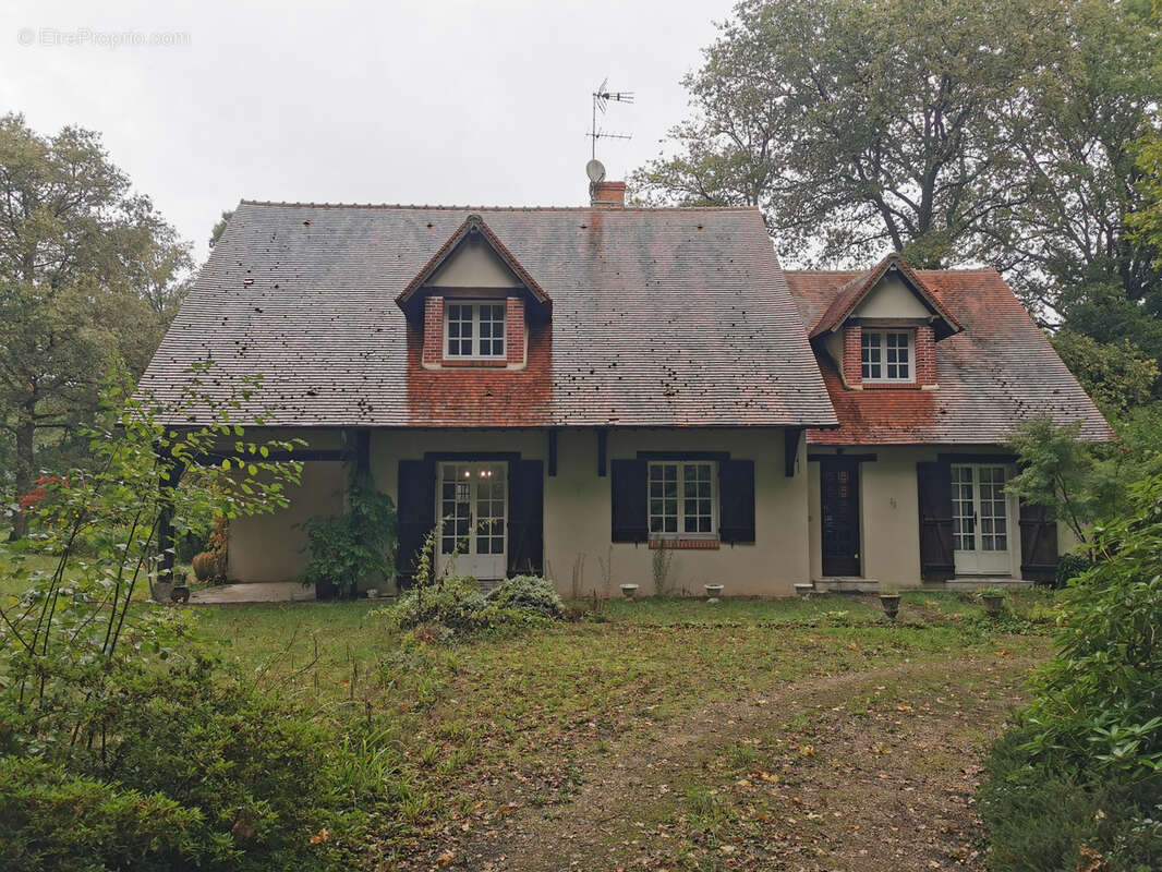 Maison à MENNETOU-SUR-CHER