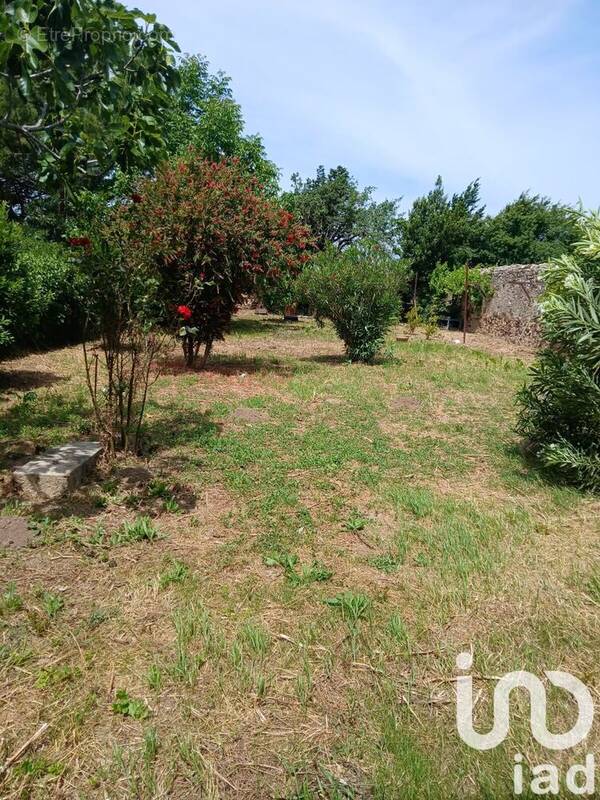 Photo 1 - Maison à LUC-SUR-ORBIEU