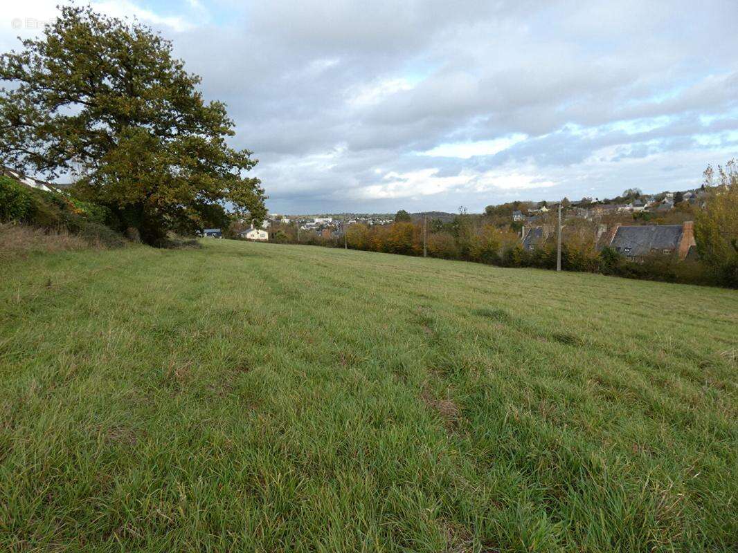 Terrain Conde En Normandie 1hectare - photo 3