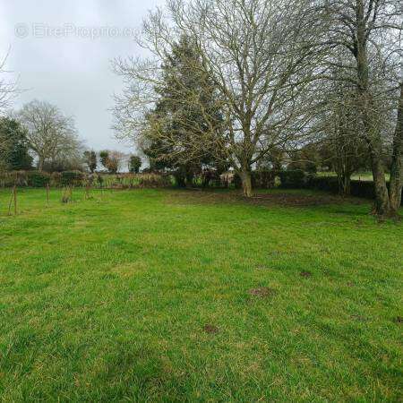 1 n°2 - Terrain à BUIGNY-L'ABBE