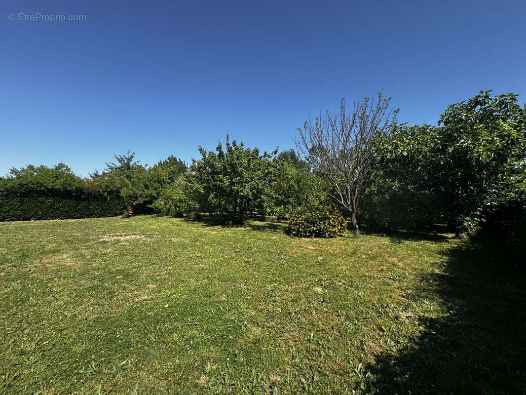 Terrain 695 m² à Rouffiac-Tolosan  - photo 2