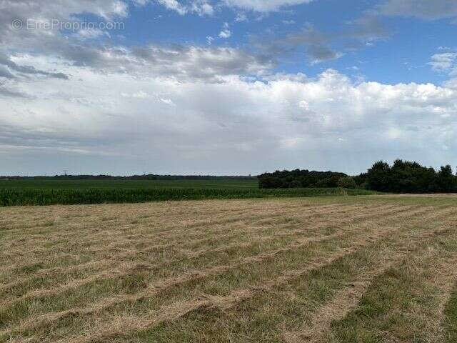 Terrain à bâtir de 734 m² à VILLARS-EN-PONS (17) - photo 2