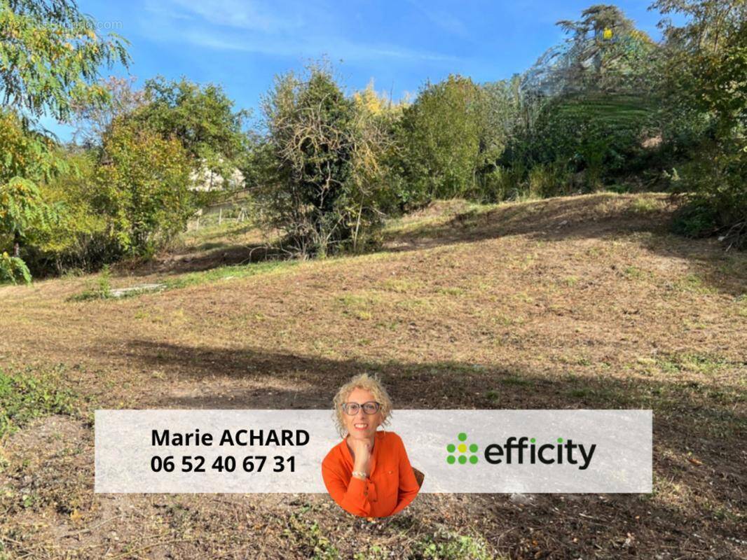 Terrain à SAINT-MARTIN-LA-PLAINE