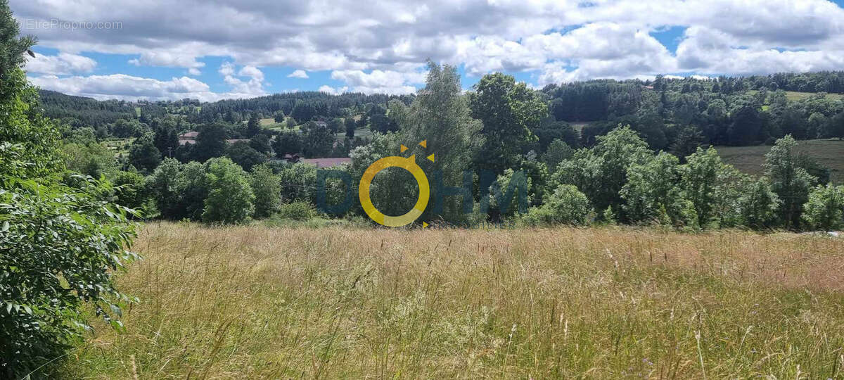 terrain a craponne sur arzon - photo 2