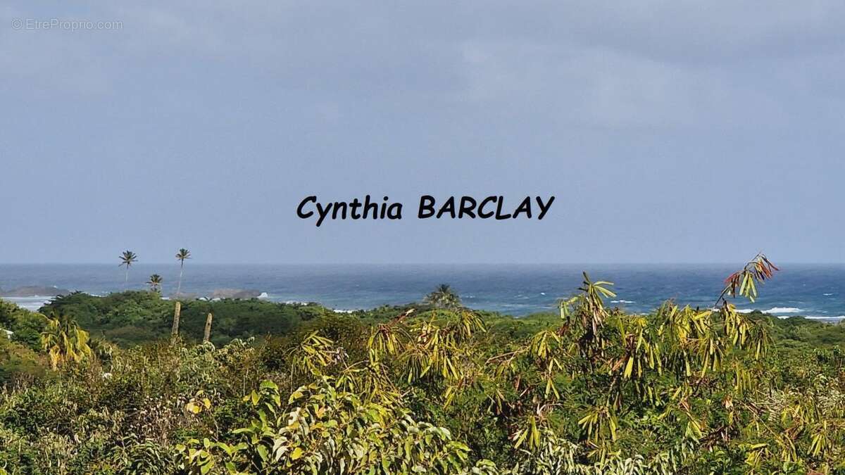 Terrain à SAINTE-ANNE