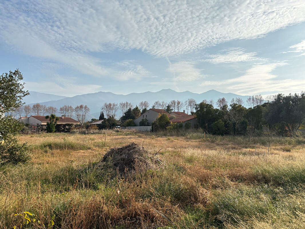 Terrain à MONTESQUIEU-DES-ALBERES