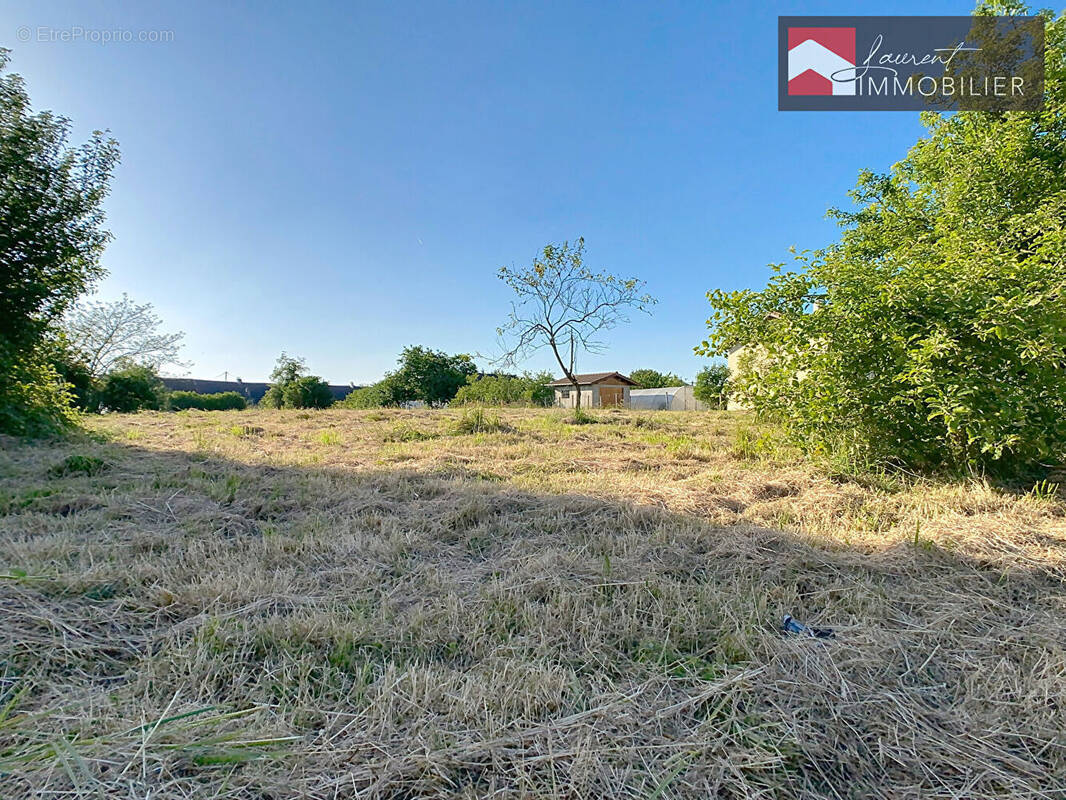 Terrain à L&#039;ABERGEMENT-DE-CUISERY