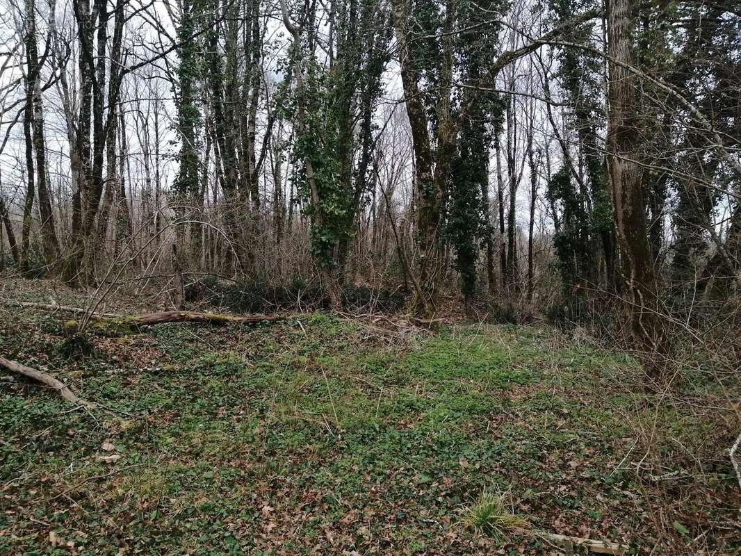 Maison à SAINT-LAURENT-DE-CERIS