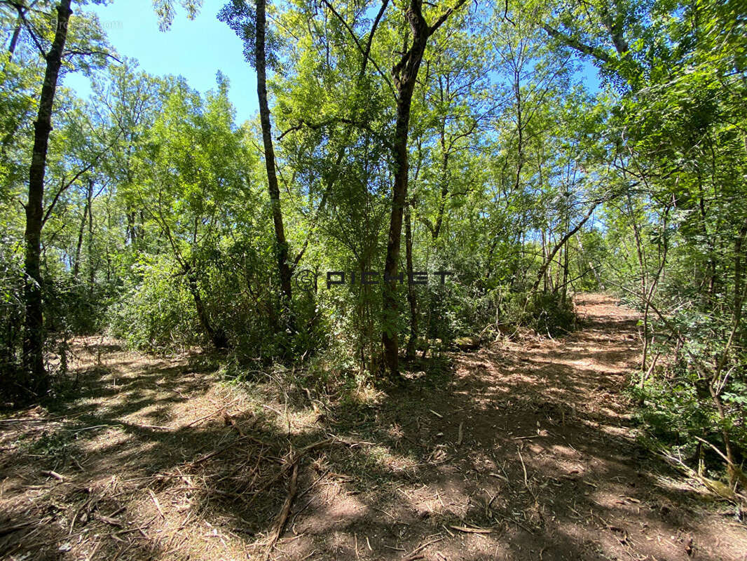 Terrain à FRONSAC
