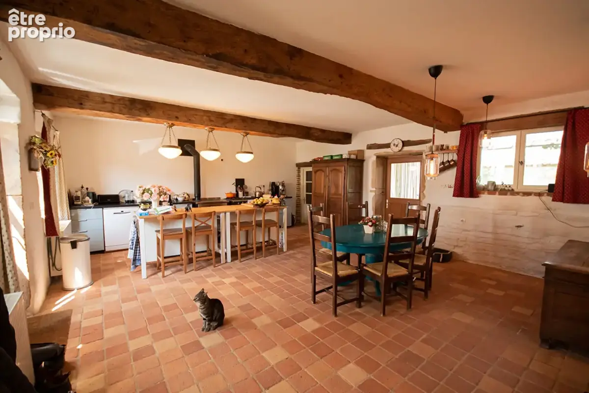 Propriété équestre et locatif 4 hectares - photo 12