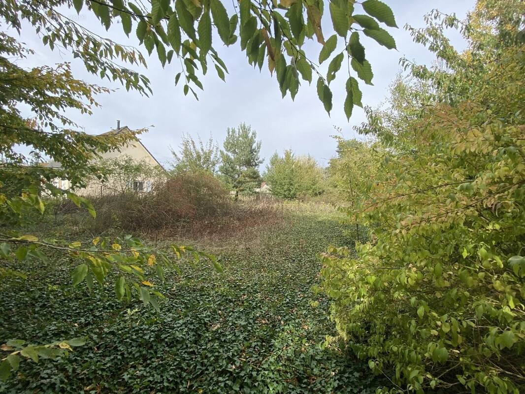 Terrain à CONDE-SUR-ITON