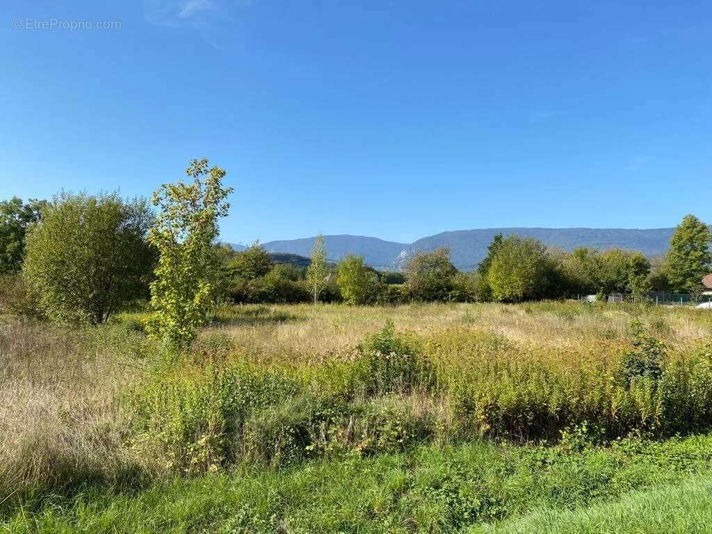 Terrain à TALISSIEU