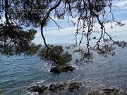 Maison à LA LONDE-LES-MAURES