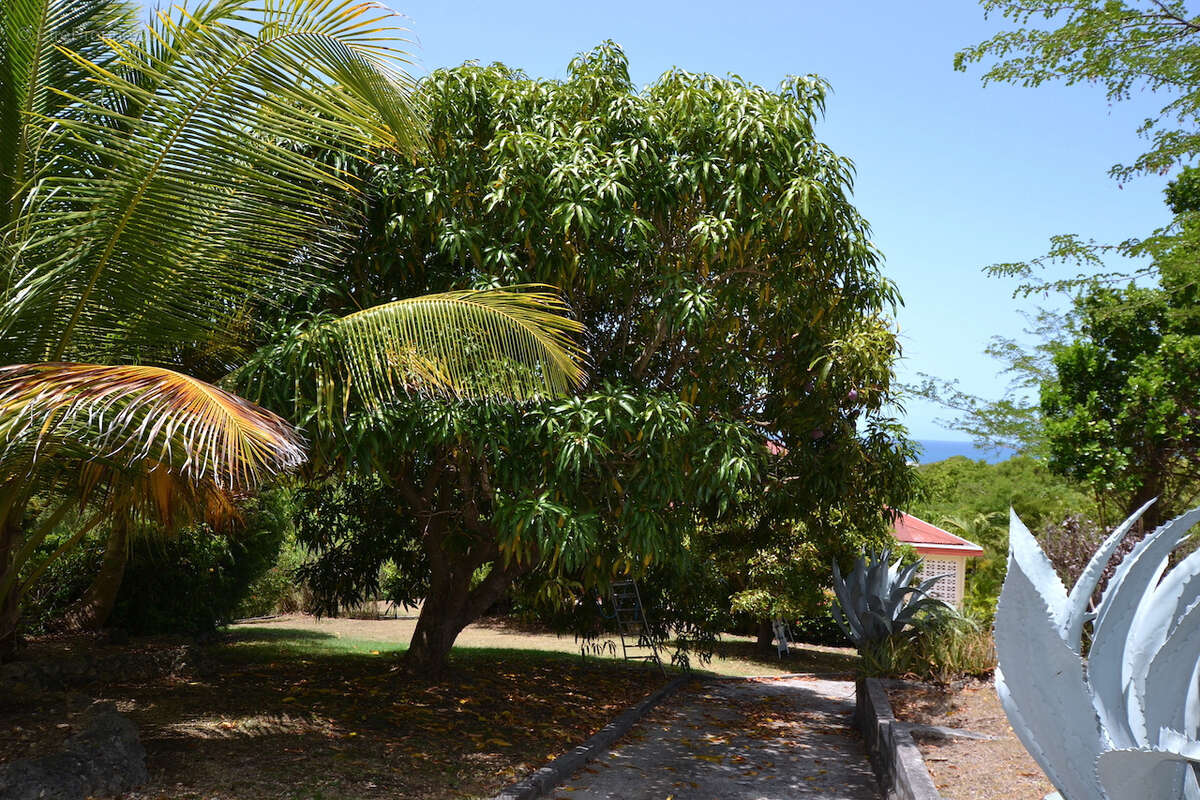 EXCLUSIVITÉ   Villa avec vue mer panoramique sur 1800 m2 de terrain. - photo 17