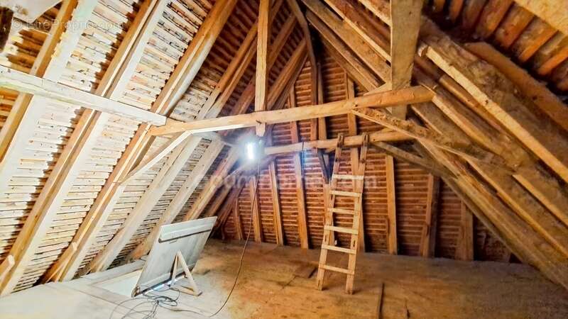 Maison à SAINT-PALAIS