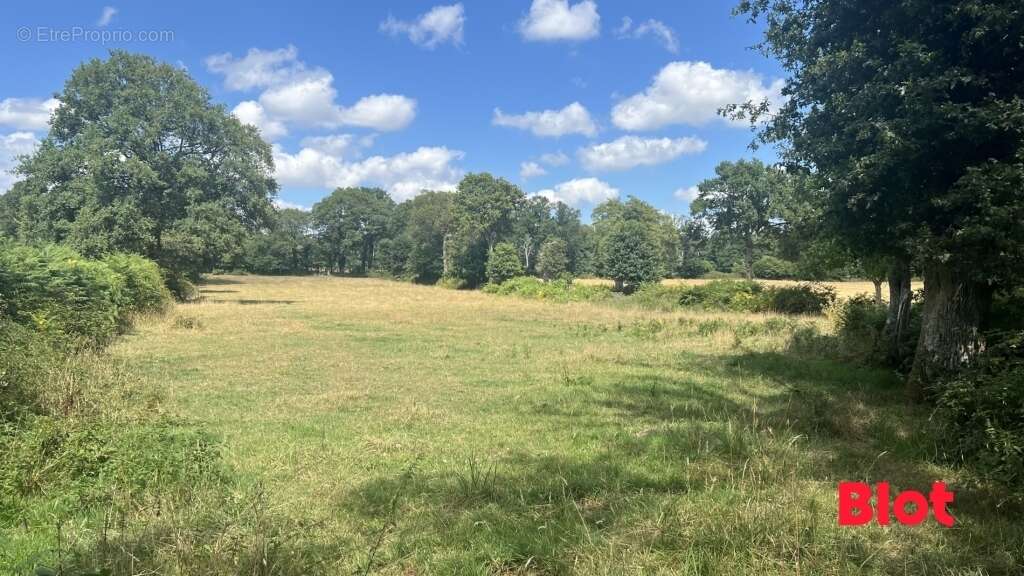 Maison à ERCE-PRES-LIFFRE