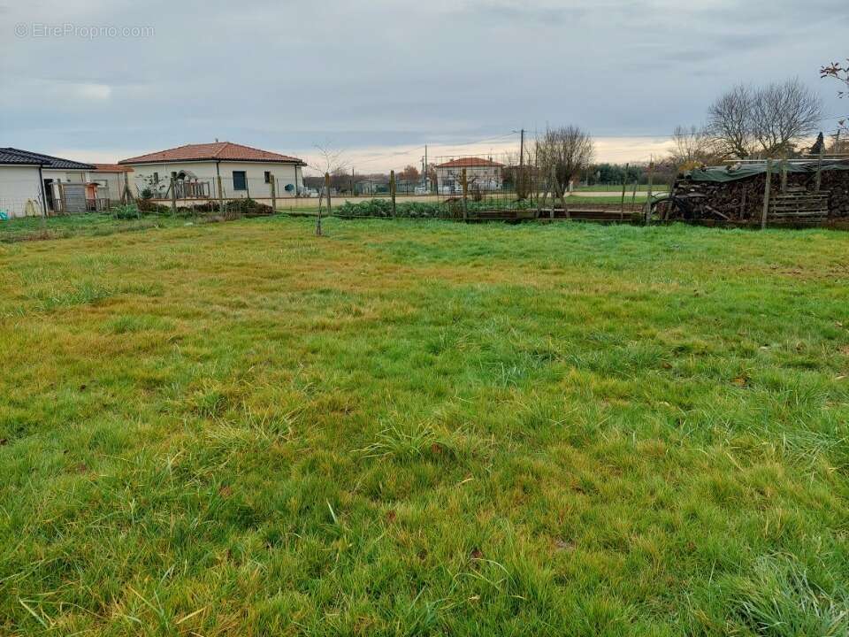 Terrain à BUZET-SUR-TARN