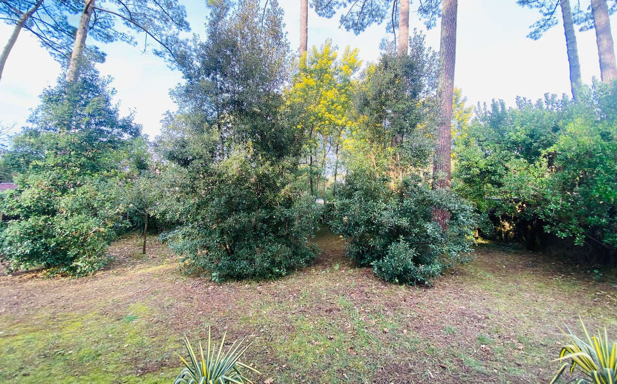 Maison à LEGE-CAP-FERRET