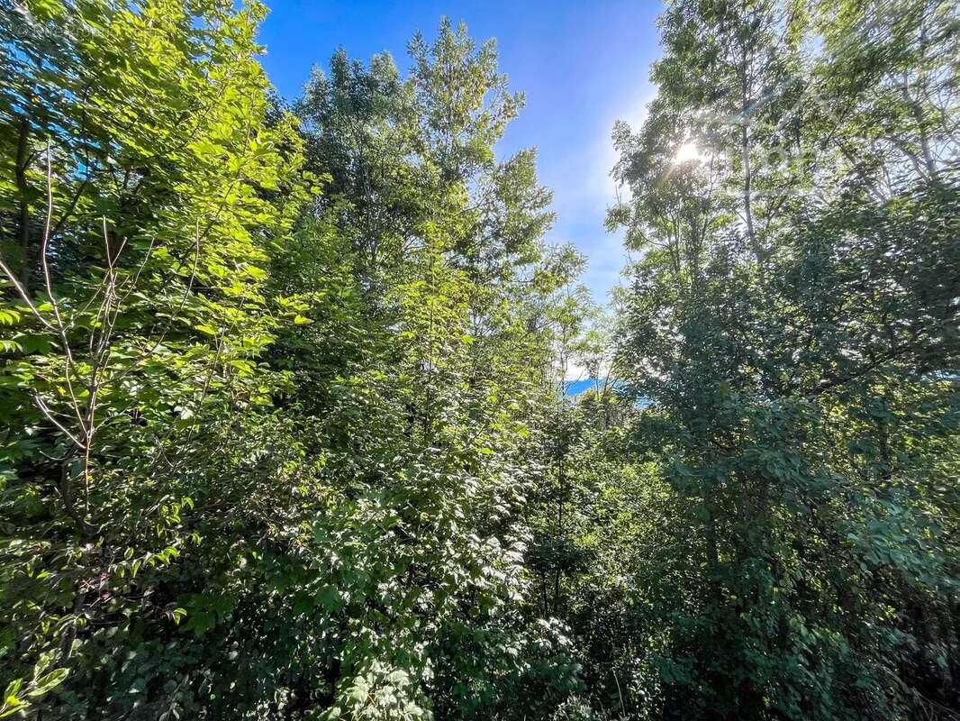 Terrain à LA TERRASSE