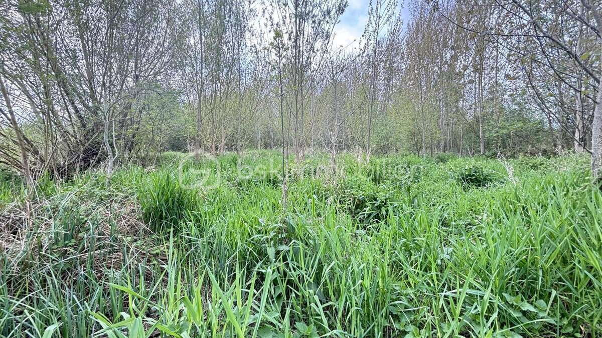 Terrain à SAINT-MAIXENT-L'ECOLE