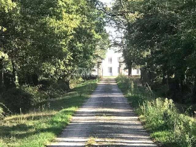 Commerce à LES SORINIERES
