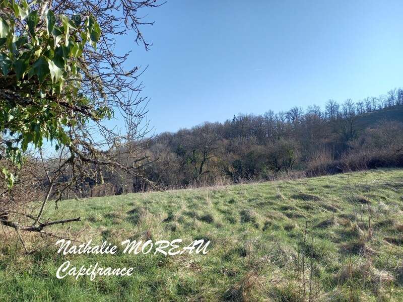 Dpt Saône et Loire (71), à vendre RECLESNE terrain avec vue dégagée - photo 2