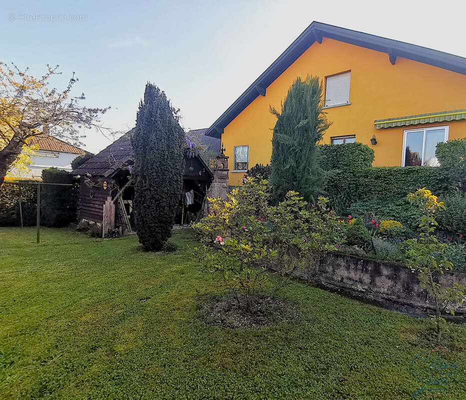 Maison à MUTTERSHOLTZ