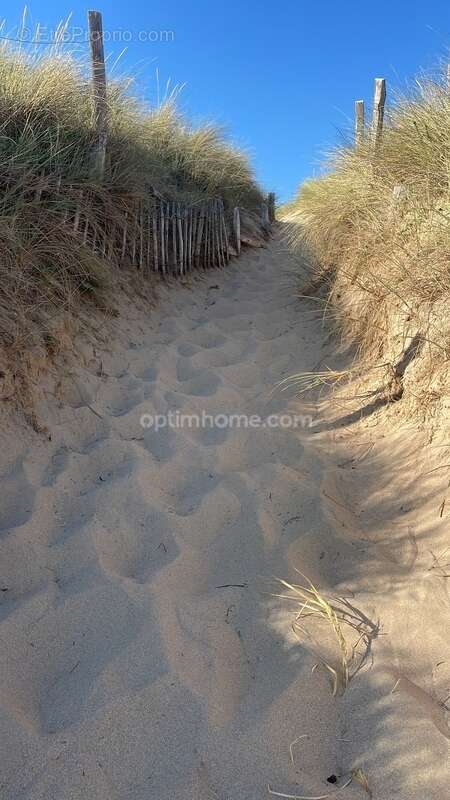 Terrain à SAINT-DENIS-D'OLERON