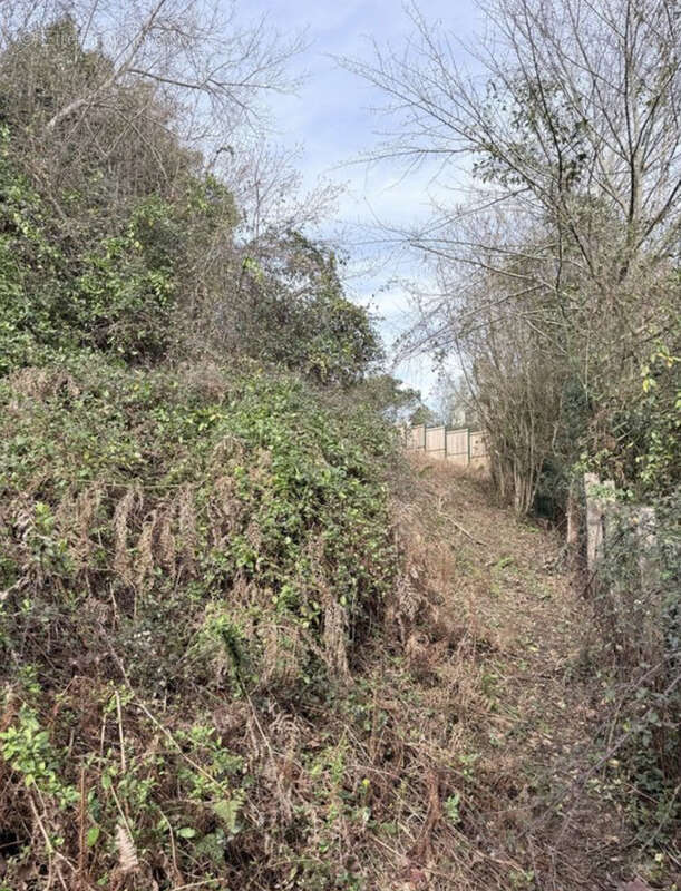 Terrain à BASSUSSARRY