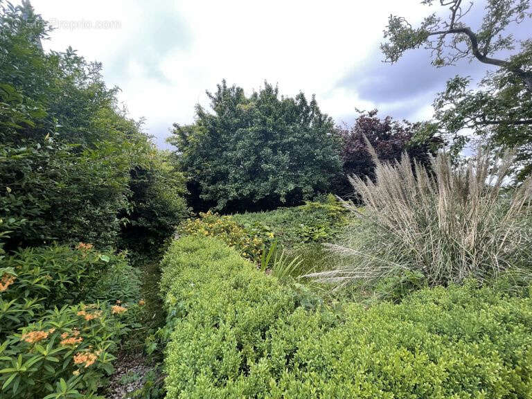 Maison à LOTTINGHEN