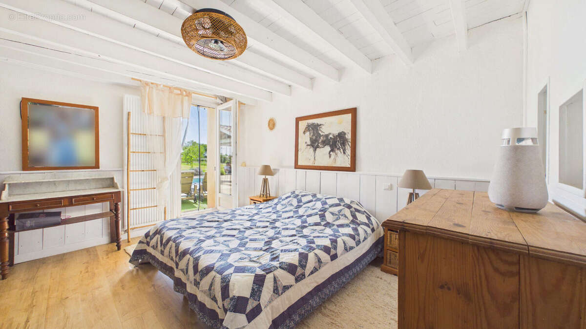 Propriété de charme : demeure principale, deux gîtes sur plus de 3 hectares - photo 8