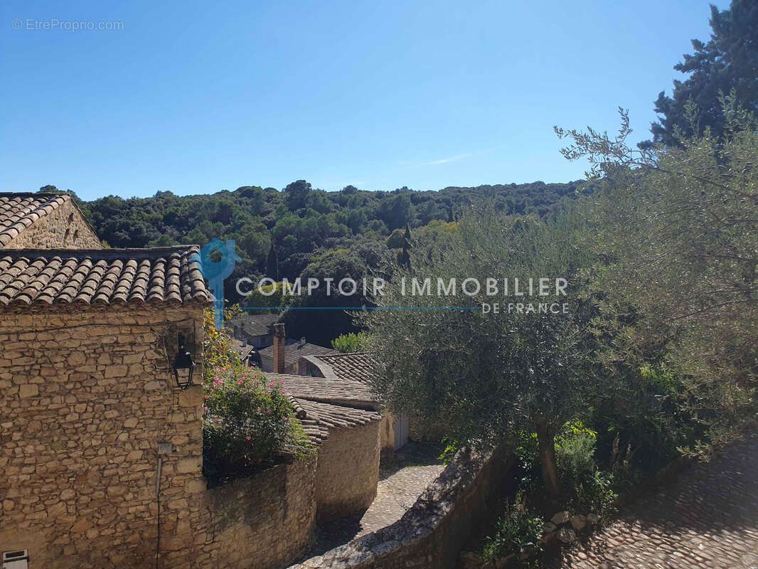 Village médiéval de la Vallée de la Cèze : Jolie Maison de village avec 2 terrasses ayant vue dominante - photo 14