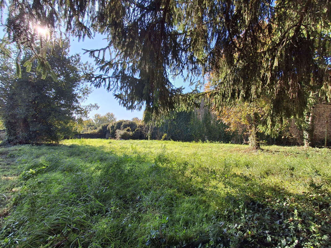 Photo 2 - Terrain à MELLE