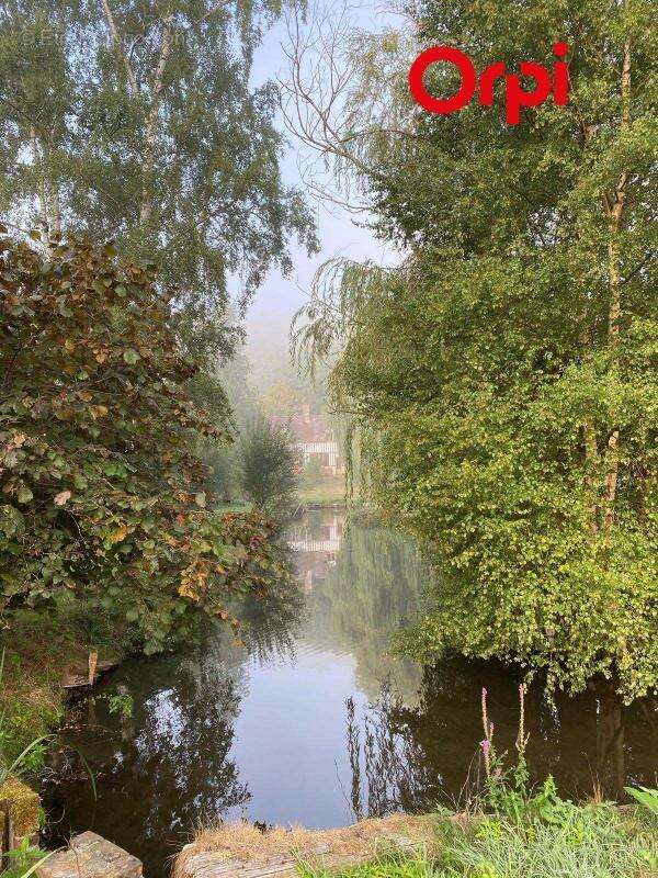 Propriété avec plan d'eau - photo 24