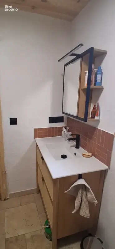 Maison en pierre de charme   entièrement rénovée   Lapte Lapte, France - photo 10