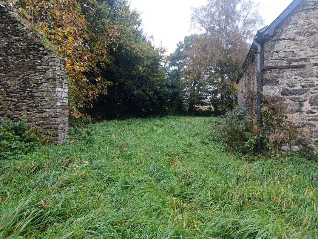 Maison à SAINT-THURIAU